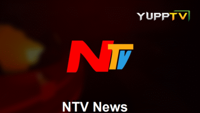 NTV News